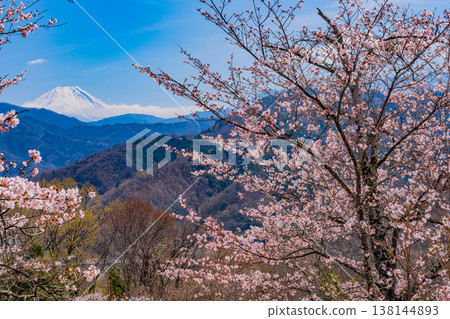 大星公園(山梨縣)的櫻花和富士山 大星公園(山梨縣)的櫻花和富士山 138144893