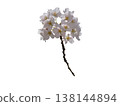 Beautiful cherry blossom cutout material 138144894