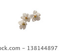 Beautiful cherry blossom cutout material 138144897
