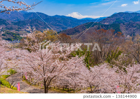 Cherry blossoms and Mt. Fuji at Daihoshi Park (Yamanashi Prefecture) Cherry blossoms and Mt. Fuji at Daihoshi Park (Yamanashi Prefecture) 138144900