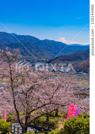 Cherry blossoms and Mt. Fuji at Daihoshi Park (Yamanashi Prefecture) Cherry blossoms and Mt. Fuji at Daihoshi Park (Yamanashi Prefecture) 138144966
