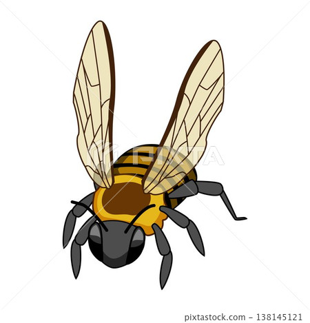 Flying bee cartoon drawing illustration Flying bee cartoon drawing illustration 138145121