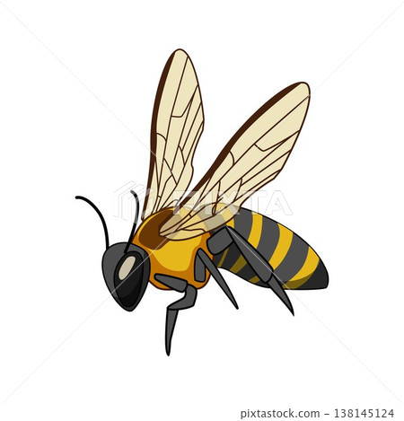 Flying bee creating honey and pollinating flowers 138145124