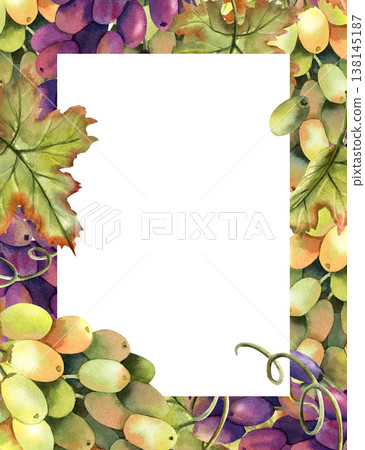 Watercolor grapevine rectangular frame template with copy space. Green black grapes vertical banner. Isolated Illustration of purple autumn berries, vine bunch. Graceful juicy botanical berry 138145187
