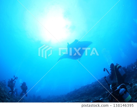 The sun and manta rays 138146395