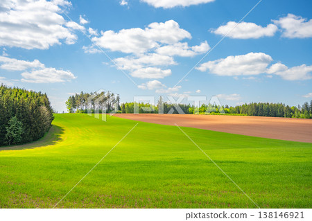 Rolling agricultural landscape shows fields of green grass and red clay soil near Nova Paka in Czechia. Clear blue sky with white clouds floats above the fields, indicating daytime. Rolling agricultural landscape shows fields of green grass and red clay soil near Nova Paka in Czechia. Clear blue sky with white clouds floats above the fields, indicating daytime. 138146921