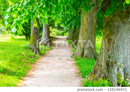 The path in Jirsakovy sady leads through trees near the confluence of the Elbe and Orlice rivers. People stroll along the walkway enjoying nature and greenery. The path in Jirsakovy sady leads through trees near the confluence of the Elbe and Orlice rivers. People stroll along the walkway enjoying nature and greenery. 138146931