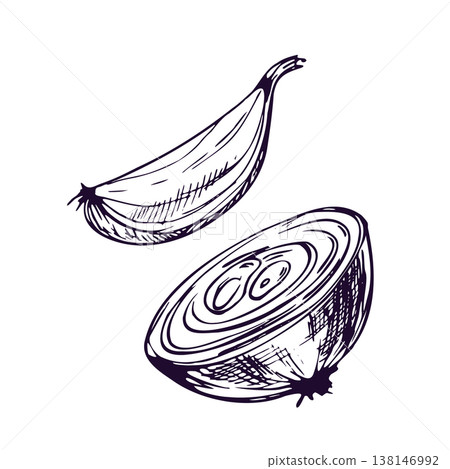 Hand-drawn illustration of a halved and quartered onion. Fresh organic vegetable sketch for kitchen design. Black ink line art engraving style. Ingredient for healthy cooking and recipe. Hand-drawn illustration of a halved and quartered onion. Fresh organic vegetable sketch for kitchen design. Black ink line art engraving style. Ingredient for healthy cooking and recipe. 138146992