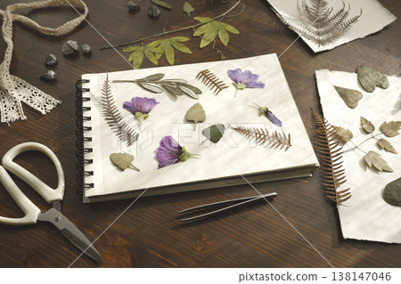 Creating botanical herbarium with pressed purple flowers and dried leaves in sketchbook. Creative workspace on wooden table with scissors, tweezers and crafting tools for DIY nature art project. Creating botanical herbarium with pressed purple flowers and dried leaves in sketchbook. Creative workspace on wooden table with scissors, tweezers and crafting tools for DIY nature art project. 138147046