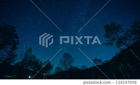 starry sky seen through the trees starry sky seen through the trees 138147056