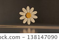Floating Daisy Flower Sculpture In Minimalist Studio With Warm Lighting  138147090