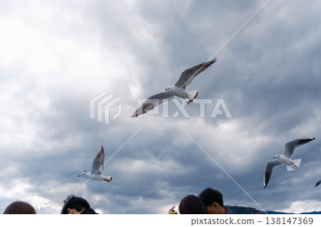 海鷗和天空跟隨定期渡輪而來。 海鷗和天空跟隨定期渡輪而來。 138147369