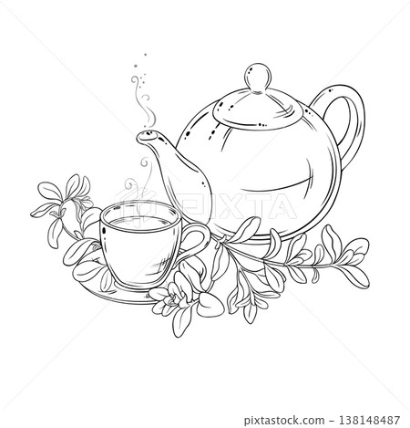 Marjoram Branch with Leaves Outline Illustration. Marjoram Branch with Leaves Outline Illustration. 138148487