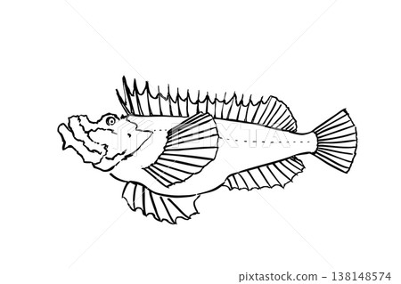 用毛筆繪製的蝎子魚(有毒的海水魚)插圖。 用毛筆繪製的蝎子魚(有毒的海水魚)插圖。 138148574