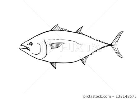 Bluefin tuna illustration, brush pen line drawing, fish material, side view Bluefin tuna illustration, brush pen line drawing, fish material, side view 138148575
