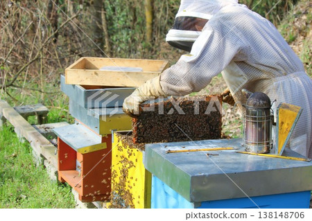 beekeeper working on an apiary. Close-up of bees - A beekeeper is removing the honeycomb frame from the hive to inspect the situation. A beekeeper at work in his apiary. beekeeper working on an apiary. Close-up of bees - A beekeeper is removing the honeycomb frame from the hive to inspect the situation. A beekeeper at work in his apiary. 138148706