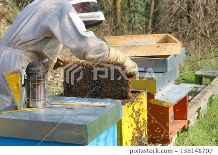 beekeeper working on an apiary. Close-up of bees - A beekeeper is removing the honeycomb frame from the hive to inspect the situation. A beekeeper at work in his apiary. beekeeper working on an apiary. Close-up of bees - A beekeeper is removing the honeycomb frame from the hive to inspect the situation. A beekeeper at work in his apiary. 138148707