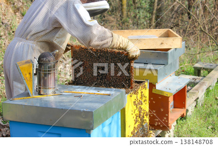 beekeeper working on an apiary. Close-up of bees - A beekeeper is removing the honeycomb frame from the hive to inspect the situation. A beekeeper at work in his apiary. beekeeper working on an apiary. Close-up of bees - A beekeeper is removing the honeycomb frame from the hive to inspect the situation. A beekeeper at work in his apiary. 138148708
