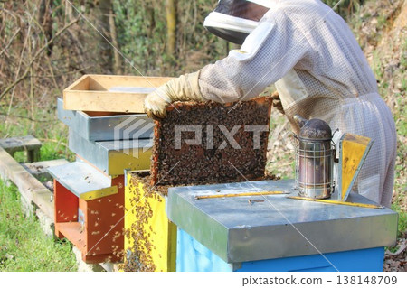 beekeeper working on an apiary. Close-up of bees - A beekeeper is removing the honeycomb frame from the hive to inspect the situation. A beekeeper at work in his apiary. 138148709