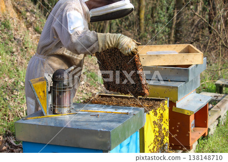 beekeeper working on an apiary. Close-up of bees - A beekeeper is removing the honeycomb frame from the hive to inspect the situation. A beekeeper at work in his apiary. 138148710
