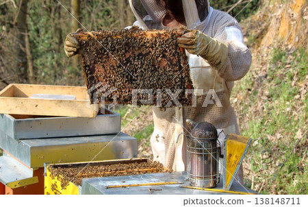 beekeeper working on an apiary. Close-up of bees - A beekeeper is removing the honeycomb frame from the hive to inspect the situation. A beekeeper at work in his apiary. 138148711