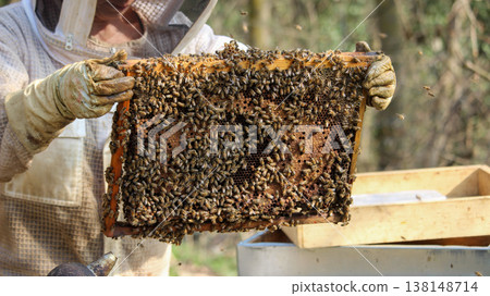 beekeeper working on an apiary. Close-up of bees - A beekeeper is removing the honeycomb frame from the hive to inspect the situation. A beekeeper at work in his apiary. 138148714