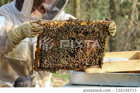 beekeeper working on an apiary. Close-up of bees - A beekeeper is removing the honeycomb frame from the hive to inspect the situation. A beekeeper at work in his apiary. 138148715