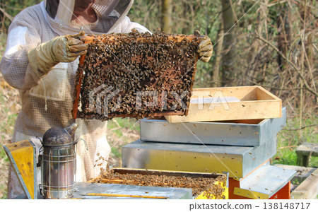 beekeeper working on an apiary. Close-up of bees - A beekeeper is removing the honeycomb frame from the hive to inspect the situation. A beekeeper at work in his apiary. 138148717