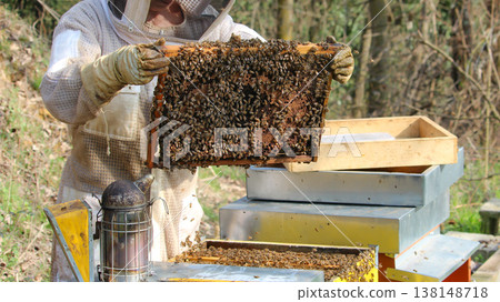 beekeeper working on an apiary. Close-up of bees - A beekeeper is removing the honeycomb frame from the hive to inspect the situation. A beekeeper at work in his apiary. 138148718