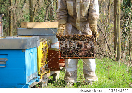 beekeeper working on an apiary. Close-up of bees - A beekeeper is removing the honeycomb frame from the hive to inspect the situation. A beekeeper at work in his apiary. 138148721