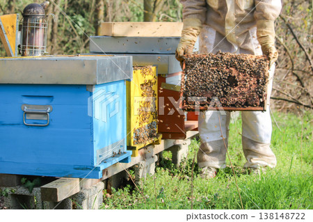 beekeeper working on an apiary. Close-up of bees - A beekeeper is removing the honeycomb frame from the hive to inspect the situation. A beekeeper at work in his apiary. 138148722