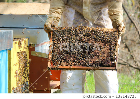 beekeeper working on an apiary. Close-up of bees - A beekeeper is removing the honeycomb frame from the hive to inspect the situation. A beekeeper at work in his apiary. 138148723
