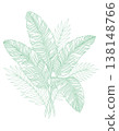 Tropical leaves vector line art illustration featuring banana and palm fronds with detailed green shading, isolated on a white background for design, botanical, and nature concepts. 138148766