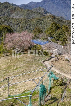 Hatenashi settlement (Totsukawa Village, mid-March) 138148842