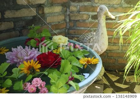A garden of flowers floating on water A garden of flowers floating on water 138148909