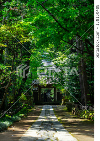 [Kanagawa Prefecture] Jufuku-ji Temple, surrounded by refreshing greenery 138150489