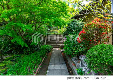 [Kanagawa Prefecture] Eishoji Temple in Kamakura, surrounded by refreshing greenery. 138150500