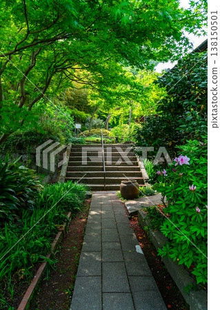 [Kanagawa Prefecture] Eishoji Temple in Kamakura, surrounded by refreshing greenery. 138150501