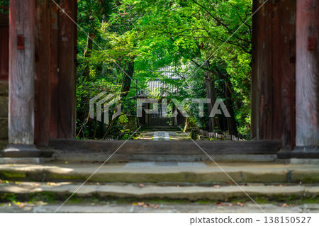 [Kanagawa Prefecture] Jufuku-ji Temple, surrounded by refreshing greenery 138150527