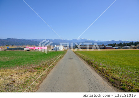 Pink hay bales [Nagano Prefecture] 138151019
