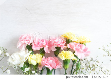 Colorful carnations against a white background 138151606