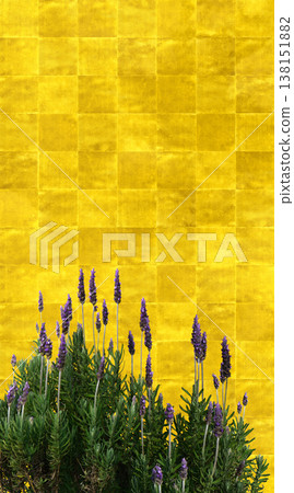 一幅日式金色折疊屏風藝術品，飾以優雅的薰衣草花。 138151882