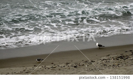 A pair of seagulls on a sandy beach where white waves were crashing. A pair of seagulls on a sandy beach where white waves were crashing. 138151998