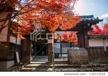 Manshuin Monzeki temple gate with red maple leaf in autumn, Kyoto 138152056