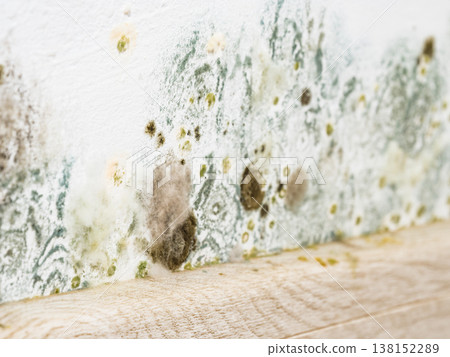 Mould and fungus growth on white wall Mould and fungus growth on white wall 138152289