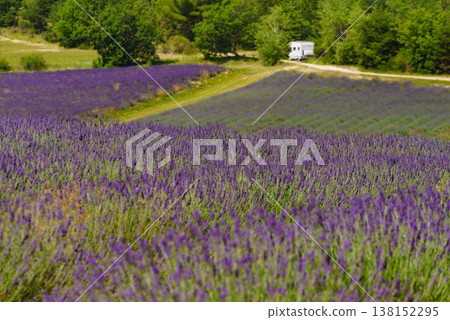 Lavender field and caravan camping in distance, Provence France Lavender field and caravan camping in distance, Provence France 138152295