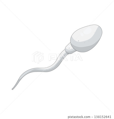 Illustration of Sperm Illustration of Sperm 138152641