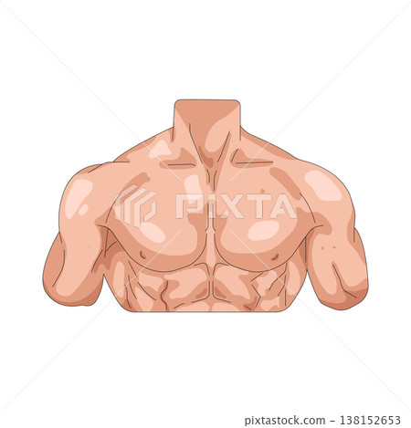 Illustration of torso  138152653