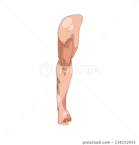 Illustration of human arm Illustration of human arm 138152655