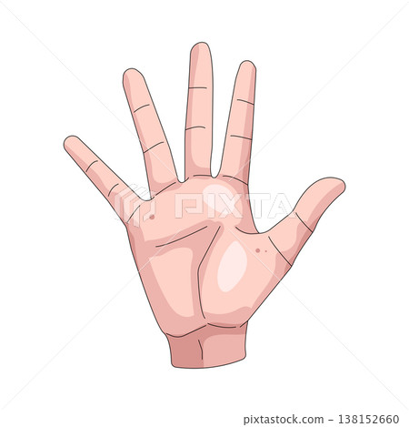 Illustration of human palm Illustration of human palm 138152660